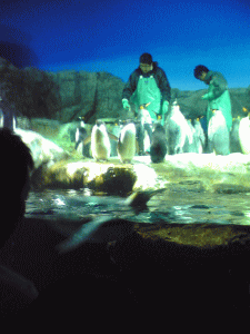que_08_8_31c.gif
